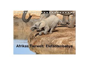 9783435715749 - Afrikas Tierwelt Elefantenbabys (Tischkalender 2025 DIN A5 quer) CALVENDO Monatskalender