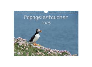 9783435715923 - Papageientaucher 2025 (Wandkalender 2025 DIN A4 quer) CALVENDO Monatskalender