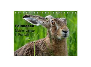 9783435716029 - Feldhasen - Meister Lampe in Franken (Tischkalender 2025 DIN A5 quer) CALVENDO Monatskalender