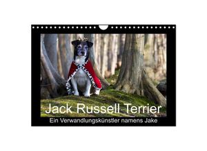 9783435716111 - Jack Russell TerrierEin Verwandlungskünstler namens Jake (Wandkalender 2025 DIN A4 quer) CALVENDO Monatskalender