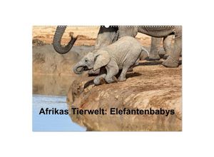 9783435716258 - Afrikas Tierwelt Elefantenbabys (Wandkalender 2025 DIN A2 quer) CALVENDO Monatskalender