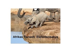 9783435716944 - Afrikas Tierwelt Elefantenbabys (Wandkalender 2025 DIN A4 quer) CALVENDO Monatskalender