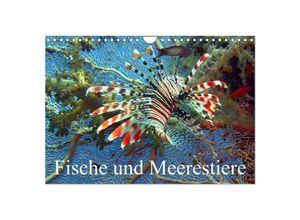 9783435718115 - Fische und Meerestiere (Wandkalender 2025 DIN A4 quer) CALVENDO Monatskalender