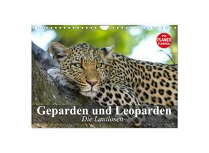 9783435725328 - Die Lautlosen Geparden und Leoparden (Wandkalender 2025 DIN A4 quer) CALVENDO Monatskalender