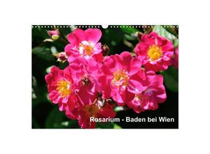 9783435801213 - Baden bei Wien - Rosarium (Wandkalender 2025 DIN A3 quer) CALVENDO Monatskalender