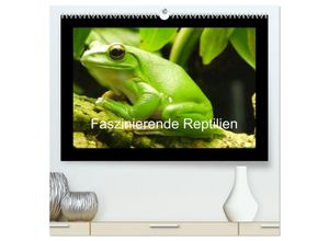 9783435801824 - Faszinierende Reptilien (hochwertiger Premium Wandkalender 2025 DIN A2 quer) Kunstdruck in Hochglanz 9783435801824 - Faszinierende Reptilien (hochwertiger Premium Wandkalender 2025 DIN A2 quer) Kunstdruck in Hochglanz
