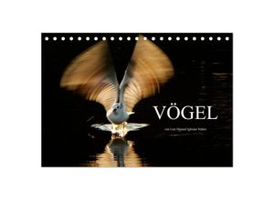 9783435802333 - VÖGEL (Tischkalender 2025 DIN A5 quer) CALVENDO Monatskalender