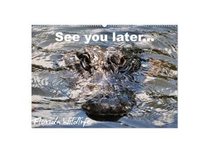 9783435803095 - See you later  Florida Wildlife (Wandkalender 2025 DIN A2 quer) CALVENDO Monatskalender