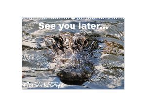 9783435803552 - See you later  Florida Wildlife (Wandkalender 2025 DIN A3 quer) CALVENDO Monatskalender