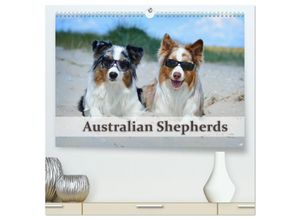 9783435803804 - Wunderbare Australian Shepherds (hochwertiger Premium Wandkalender 2025 DIN A2 quer) Kunstdruck in Hochglanz