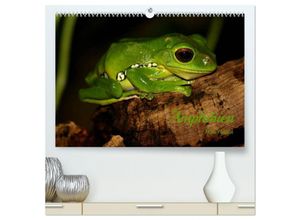 9783435807109 - Amphibien (hochwertiger Premium Wandkalender 2025 DIN A2 quer) Kunstdruck in Hochglanz