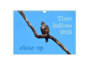 9783435807673 - Tiere Indiens close up (Wandkalender 2025 DIN A4 quer) CALVENDO Monatskalender