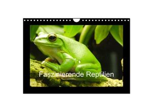 9783435808090 - Faszinierende Reptilien (Wandkalender 2025 DIN A4 quer) CALVENDO Monatskalender