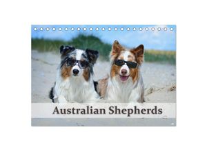 9783435808281 - Wunderbare Australian Shepherds (Tischkalender 2025 DIN A5 quer) CALVENDO Monatskalender