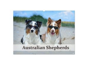 9783435808779 - Wunderbare Australian Shepherds (Wandkalender 2025 DIN A2 quer) CALVENDO Monatskalender