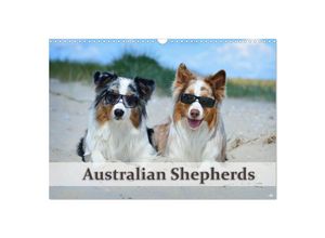 9783435809196 - Wunderbare Australian Shepherds (Wandkalender 2025 DIN A3 quer) CALVENDO Monatskalender