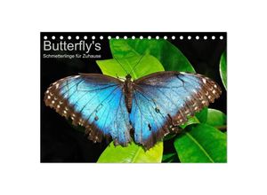 9783435811533 - Butterflys - Schmetterlinge für Zuhause (Tischkalender 2025 DIN A5 quer) CALVENDO Monatskalender