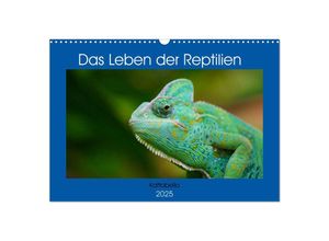 9783435813261 - Das Leben der Reptilien (Wandkalender 2025 DIN A3 quer) CALVENDO Monatskalender