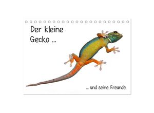 9783435818136 - Der kleine Gecko und seine Freunde (Tischkalender 2025 DIN A5 quer) CALVENDO Monatskalender