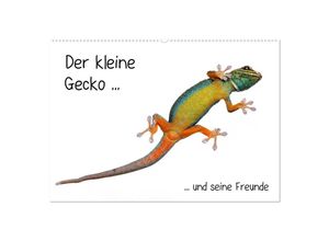 9783435818532 - Der kleine Gecko und seine Freunde (Wandkalender 2025 DIN A2 quer) CALVENDO Monatskalender