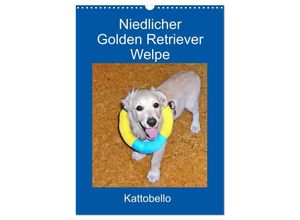 9783435965281 - Niedlicher Golden Retriever Welpe (Wandkalender 2025 DIN A3 hoch) CALVENDO Monatskalender