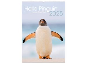 9783435991693 - Hallo Pinguin (Wandkalender 2025 DIN A2 hoch) CALVENDO Monatskalender