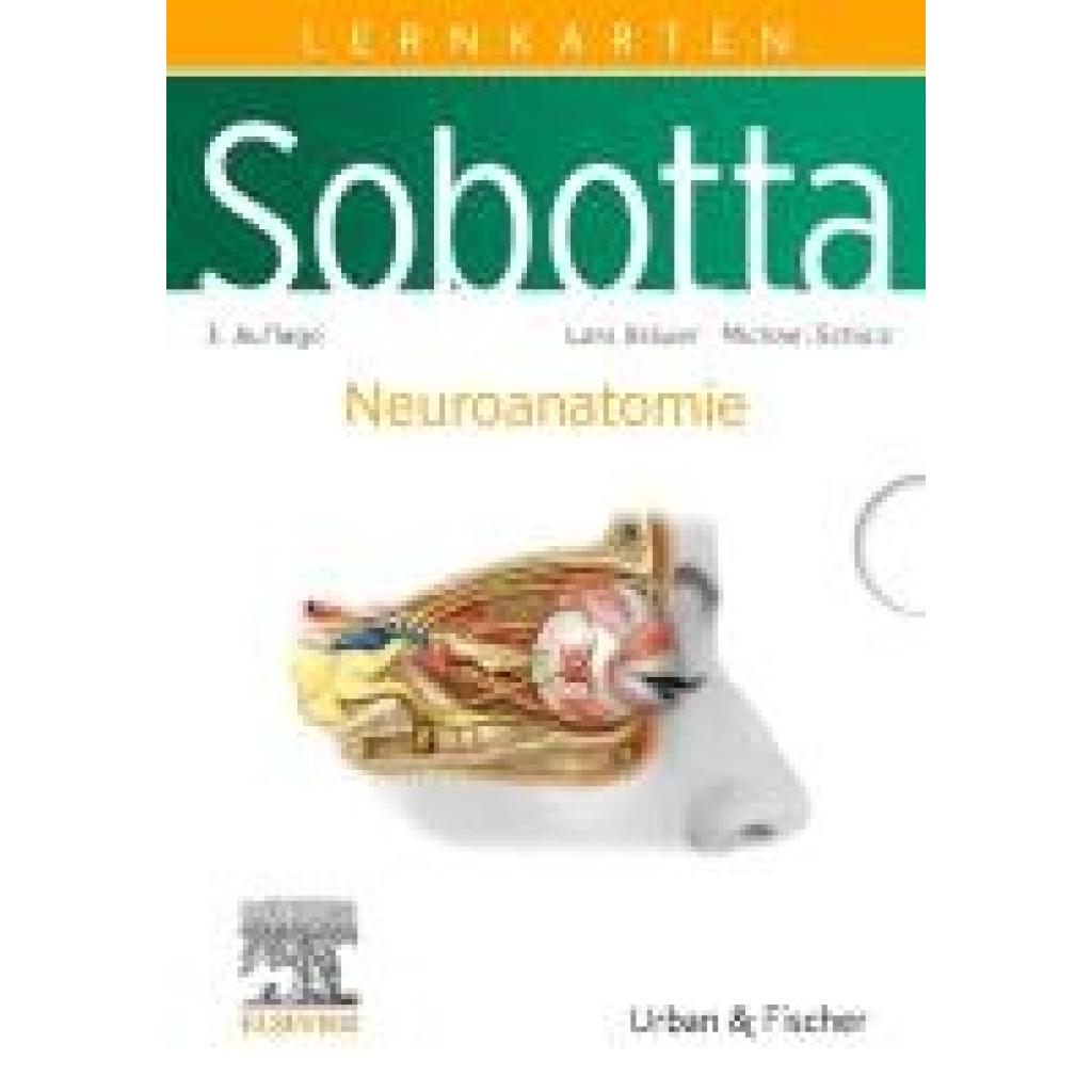 9783437411649 - Bräuer Lars Sobotta Lernkarten Neuroanatomie