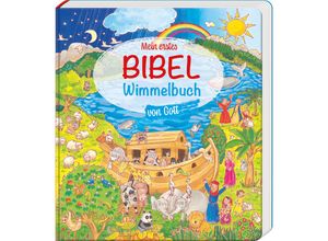 9783438042965 - Mein erstes Bibel-Wimmelbuch von Gott - Heidi Rose Pappband