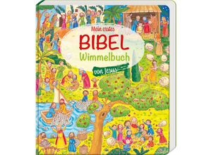 9783438042972 - Mein erstes Bibel-Wimmelbuch von Jesus - Heidi Rose Pappband