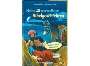 9783438047670 - Meine 15 wertvollsten Bibelgeschichten Liebevoll illustriertes Vorlesebuch ab 5 Jahren Kindern biblische Werte weitergeben und erklären Mit Tipps für Familien und pädagogische Fachkräfte - Hannah Oblau Gebunden