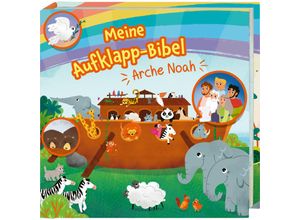 9783438047694 - Meine Aufklapp-Bibel Arche Noah Pappband