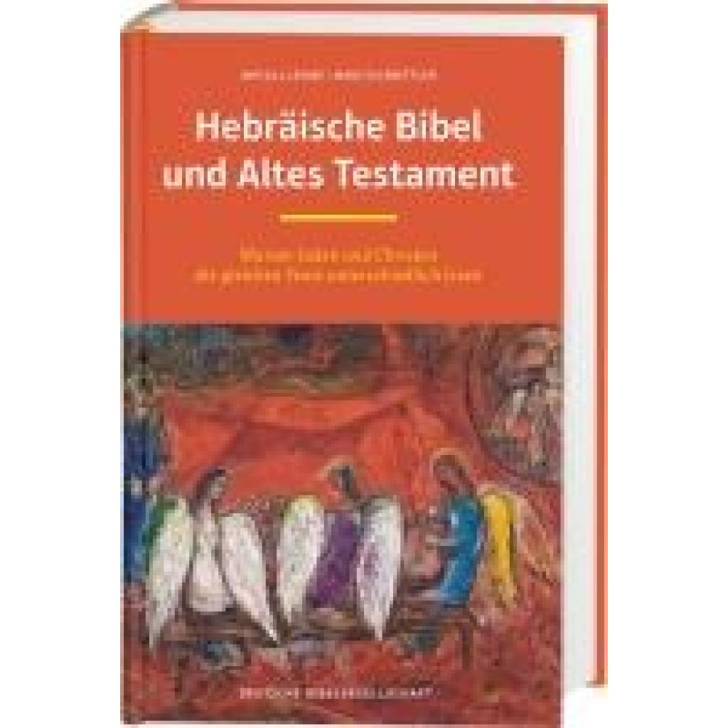 9783438054944 - Levine Amy-Jill Hebräische Bibel und Altes Testament