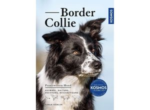 9783440170038 - Border Collie - Tanja Köhler Kartoniert (TB)