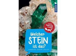 9783440175767 - Kindernaturführer   Welcher Stein ist das? Kindernaturführer - Rupert Hochleitner Kartoniert (TB)