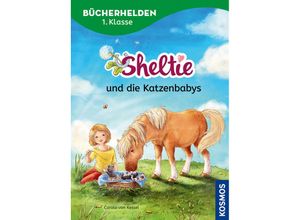 9783440178317 - Sheltie Bücherhelden 1 Klasse Sheltie und die Katzenbabys - Carola von Kessel Gebunden