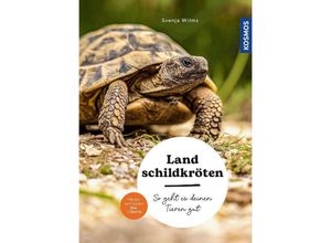 9783440178485 - Mein Tier   Landschildkröten - Svenja Wilms Kartoniert (TB)