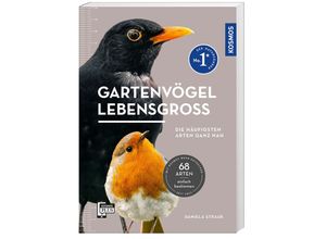 9783440178614 - Gartenvögel lebensgroß - Daniela Strauß Kartoniert (TB)