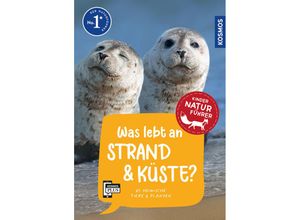 9783440179222 - Was lebt an Strand und Küste? Kindernaturführer - Holger Haag Kartoniert (TB)