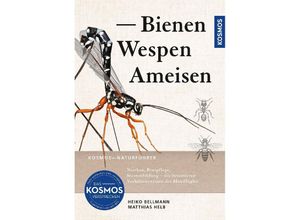 9783440179826 - Bienen Wespen Ameisen - Heiko Bellmann Matthias Helb Kartoniert (TB)