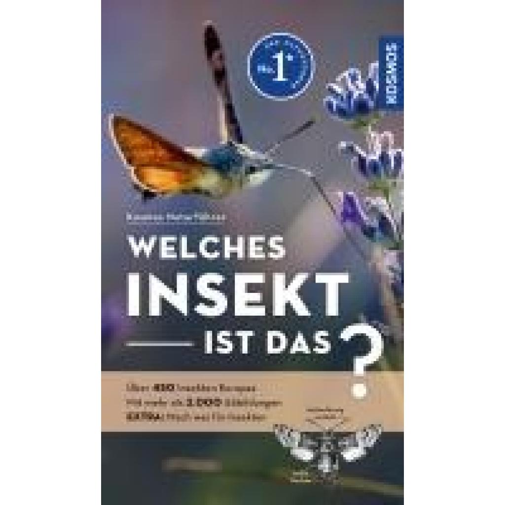 9783440180006 - Bellmann Heiko Welches Insekt ist das?