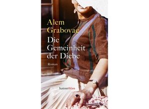 9783446279384 - Die Gemeinheit der Diebe - Alem Grabovac Gebunden