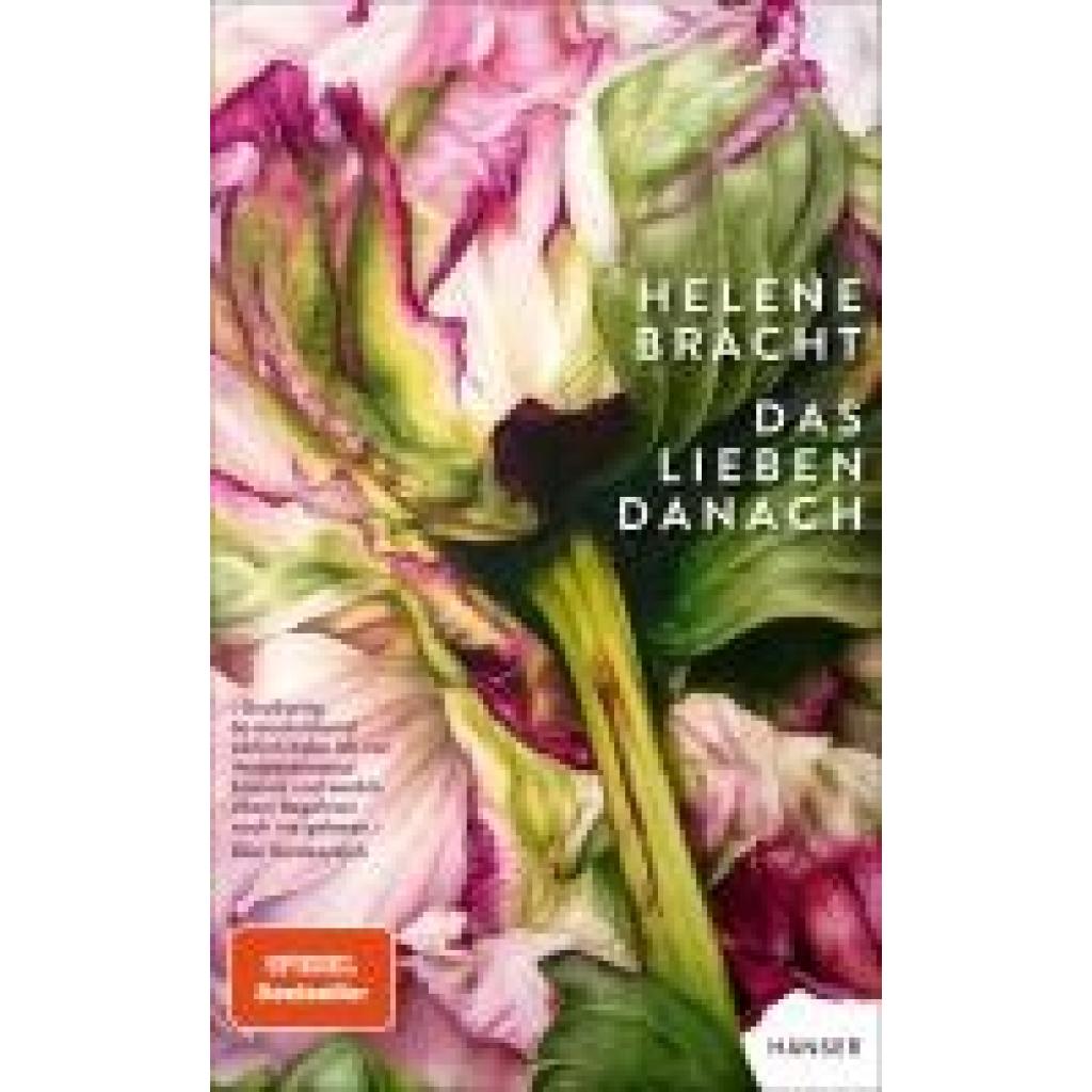 9783446282919 - Bracht Helene Das Lieben danach