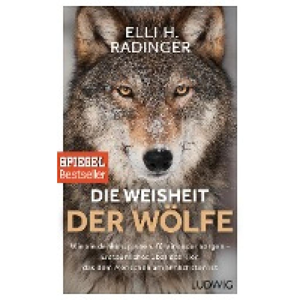 9783453280939 - Die Weisheit der Wölfe - Elli H Radinger Gebunden 9783453280939 - Die Weisheit der Wölfe - Elli H Radinger Gebunden
