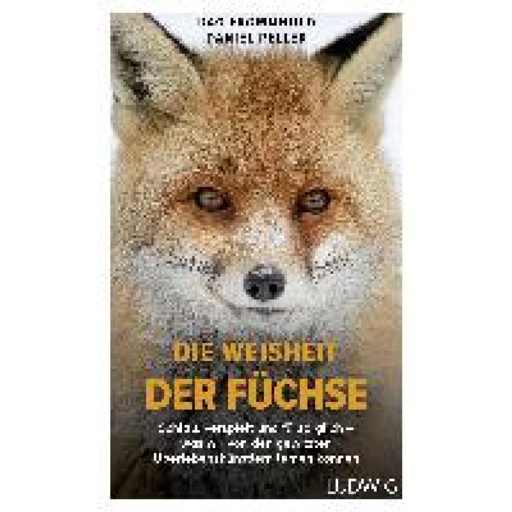 9783453281349 - Frommhold Dag Die Weisheit der Füchse