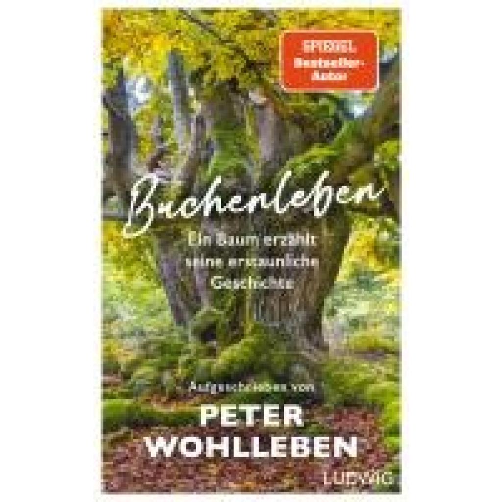 9783453281516 - Wohlleben Peter Buchenleben