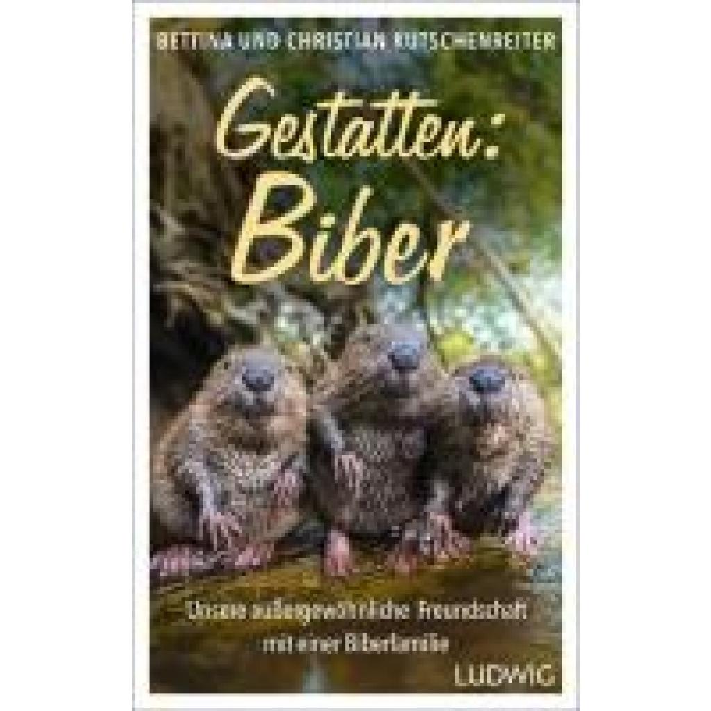 9783453281745 - Kutschenreiter Bettina Gestatten Biber