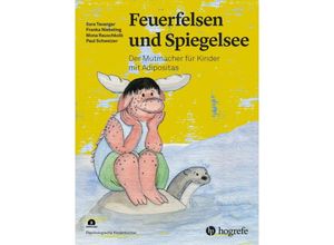 9783456863146 - Feuerfelsen und Spiegelsee - Sara Tavangar Franka Niebeling Mona Rauschkolb Paul Schweizer Gebunden