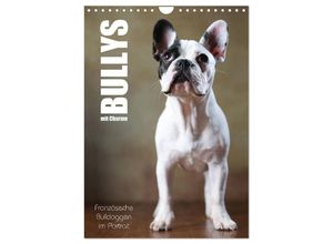 9783457003756 - Bullys mit Charme - Französische Bulldoggen im Portrait (Wandkalender 2025 DIN A4 hoch) CALVENDO Monatskalender