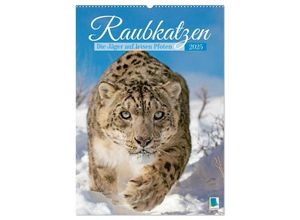 9783457133132 - Raubkatzen Die Jäger auf leisen Pfoten (Wandkalender 2025 DIN A2 hoch) CALVENDO Monatskalender