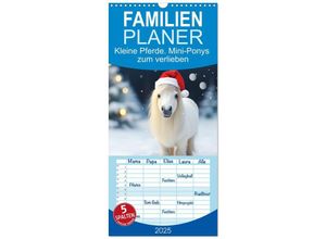 9783457133781 - Familienplaner 2025 - Kleine Pferde Mini-Ponys zum verlieben mit 5 Spalten (Wandkalender 21 x 45 cm) CALVENDO